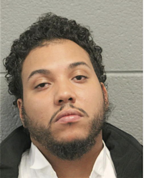 DAVID D BERDIN, Cook County, Illinois
