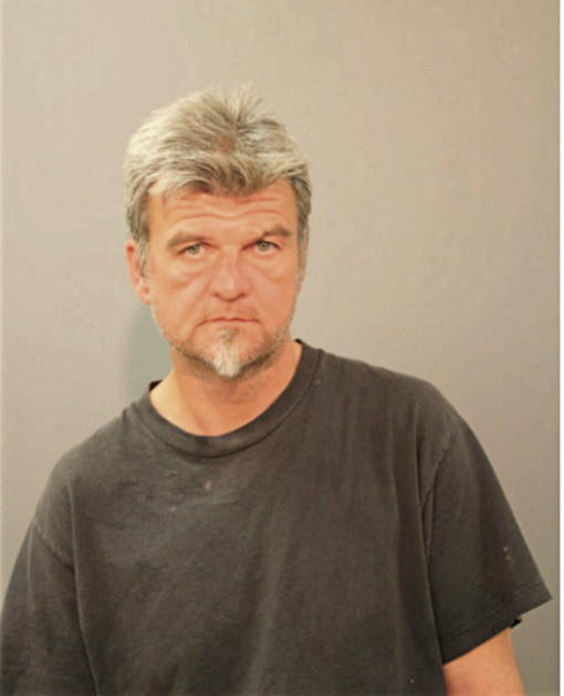 MICHAEL P BROWN, Cook County, Illinois