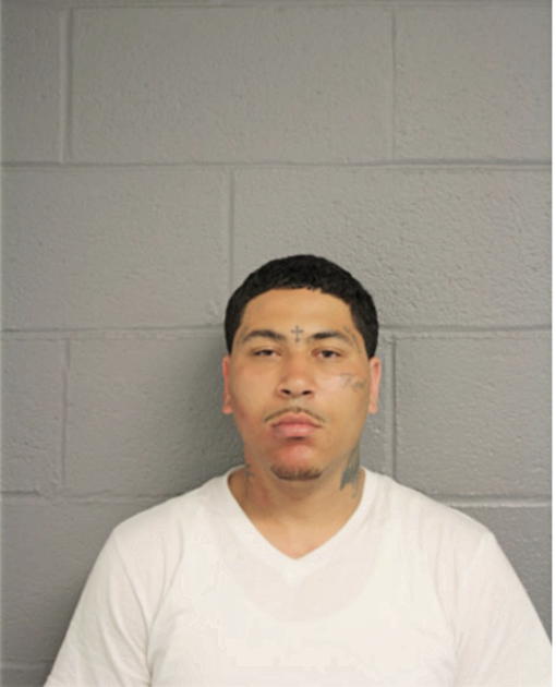 NICHOLAS L BROWN, Cook County, Illinois
