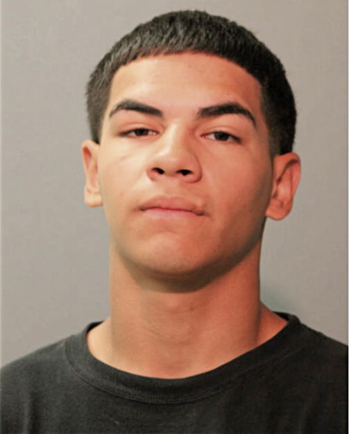 LUIS DIAZ, Cook County, Illinois