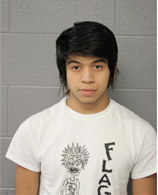 ABNER V FLORES, Cook County, Illinois