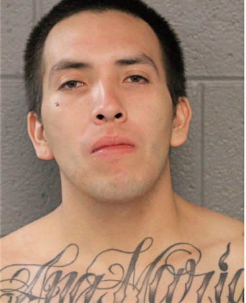 CARLOS F GALLEGOS, Cook County, Illinois