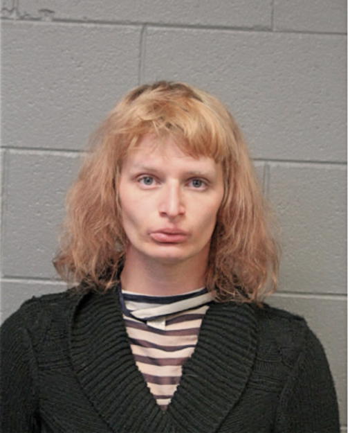 CHRISTOPHER C GRIL, Cook County, Illinois
