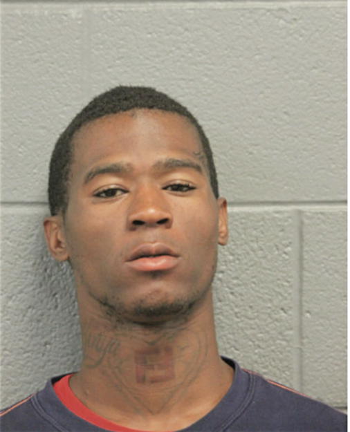 BRIAN K HALL, Cook County, Illinois