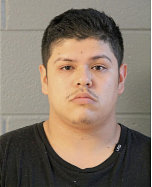 ADRIAN HERMOSO, Cook County, Illinois