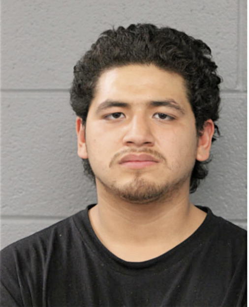 KEVIN T HERNANDEZ, Cook County, Illinois
