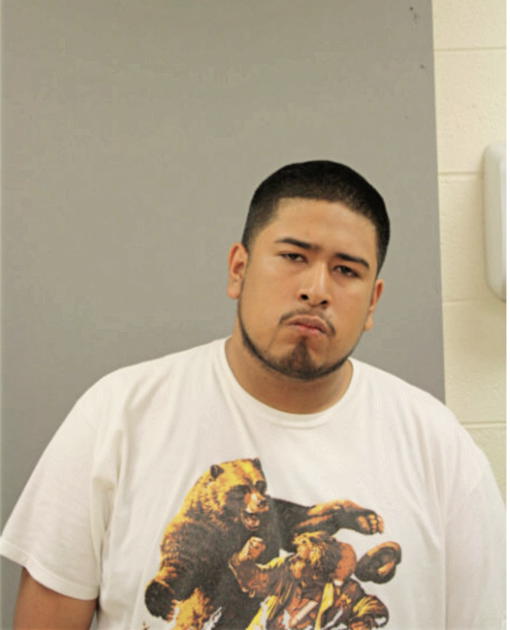 FERNANDO HIGUERA, Cook County, Illinois