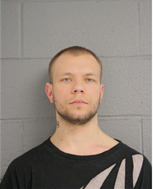 SEAN R HORAK, Cook County, Illinois