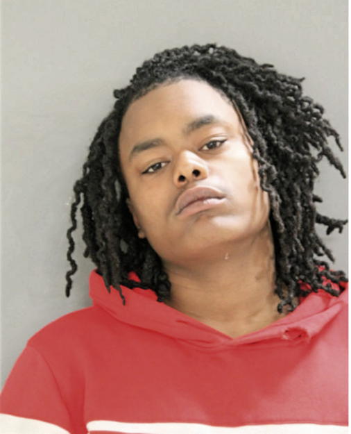 WADE J LEWIS, Cook County, Illinois