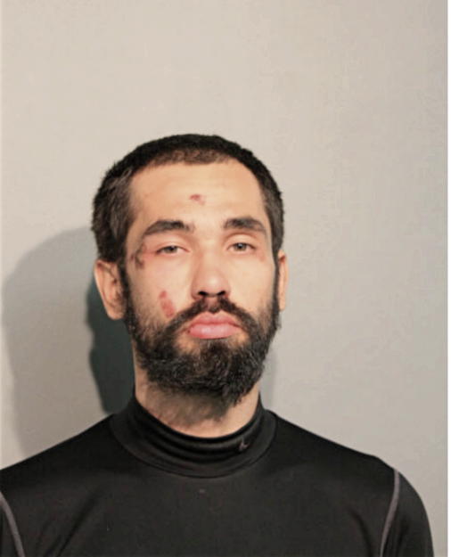 EMIR KIKIC, Cook County, Illinois