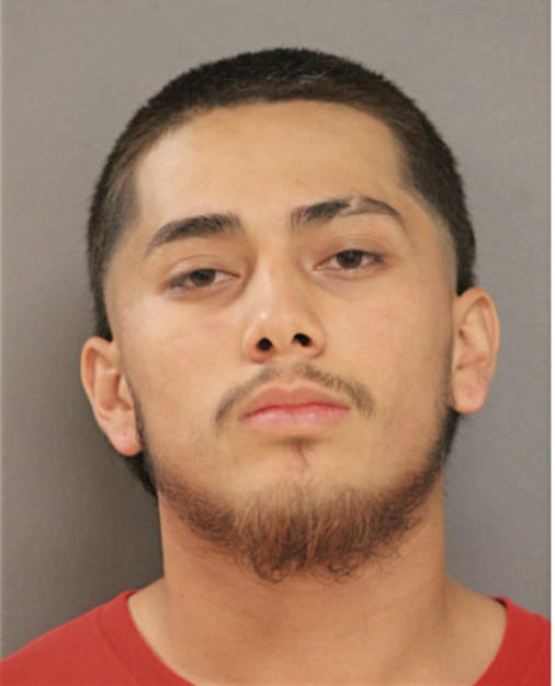 NICHOLAS J LAU, Cook County, Illinois
