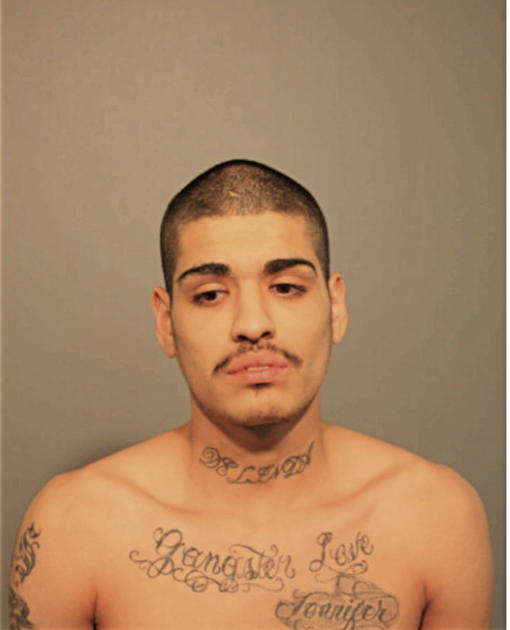 SANTIAGO LEON, Cook County, Illinois