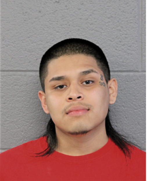 ADAM MONROY, Cook County, Illinois