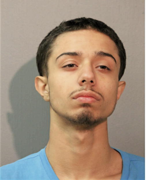 EDIN MUJKOVIC, Cook County, Illinois