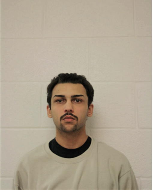 VINNIE EM NICHOLAS, Cook County, Illinois