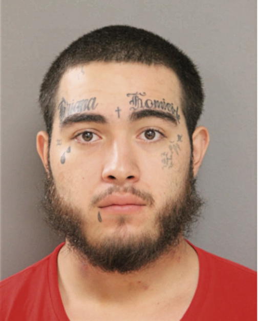 CARLOS M NUNEZ, Cook County, Illinois