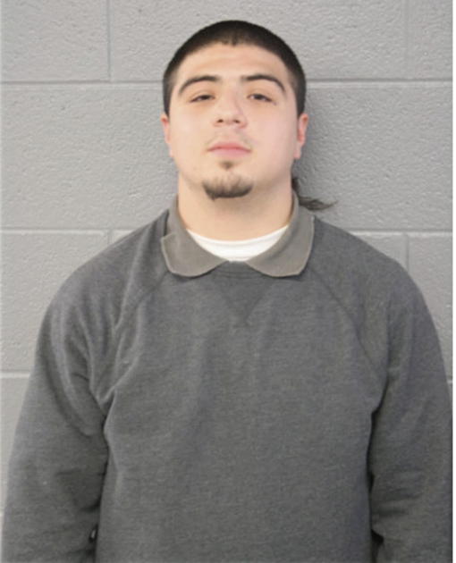 RICARDO I PENAFLOR, Cook County, Illinois