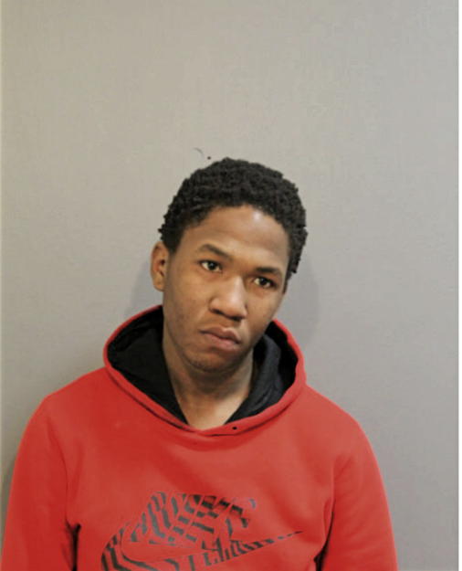 TYLER T PERKINS, Cook County, Illinois