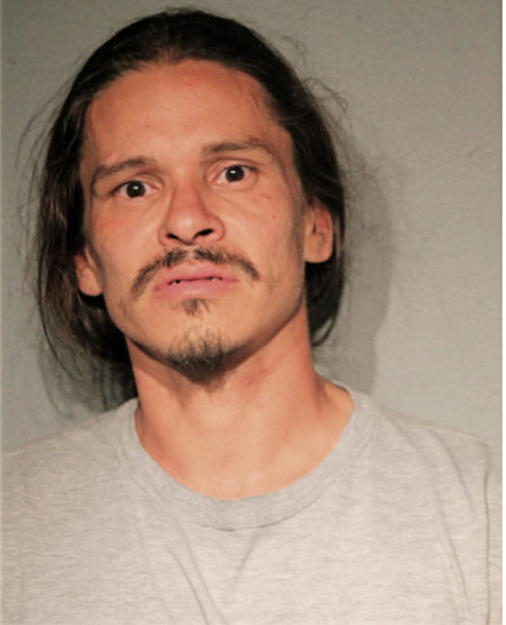 ROBERT P REYES, Cook County, Illinois