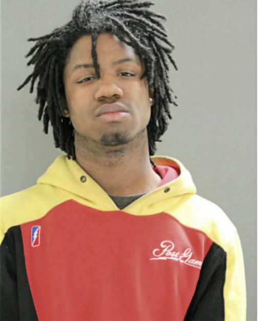 TREMAINE ROGERS, Cook County, Illinois