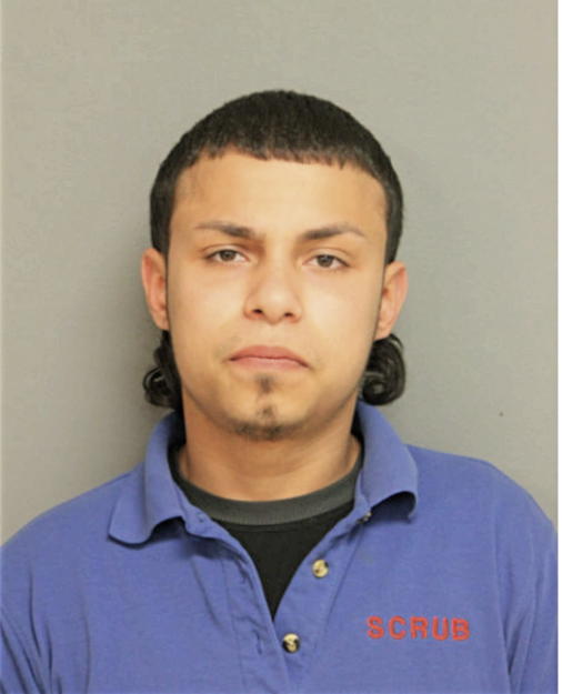 BRANDON L ROSARIO, Cook County, Illinois