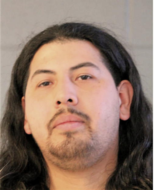 LUIS D SANTANA-GUZMAN, Cook County, Illinois