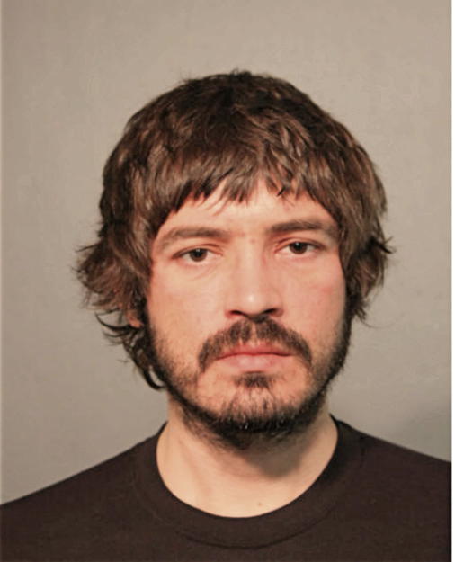 RYAN P SCHULTZ, Cook County, Illinois