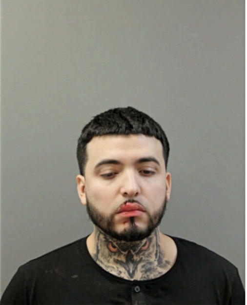 CHRISTIAN A TERRAZO, Cook County, Illinois