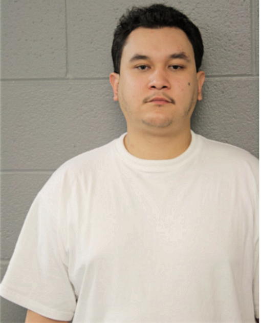 OZMEND ANGELO VARGAS, Cook County, Illinois