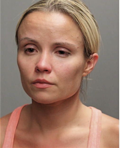 CHRISTINE M VELICKOVIC, Cook County, Illinois