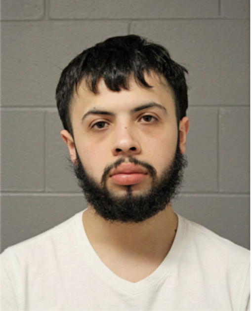 LUIS R VENEGAS, Cook County, Illinois