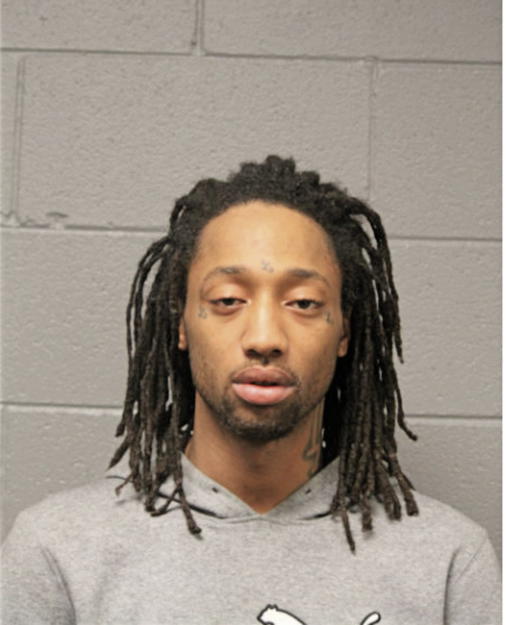 DEVIN J WARNICK, Cook County, Illinois