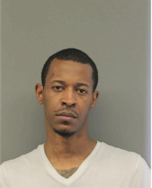 ERIC A KIRK, Cook County, Illinois