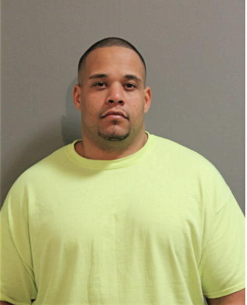 ALFREDO P ARRIAGA, Cook County, Illinois