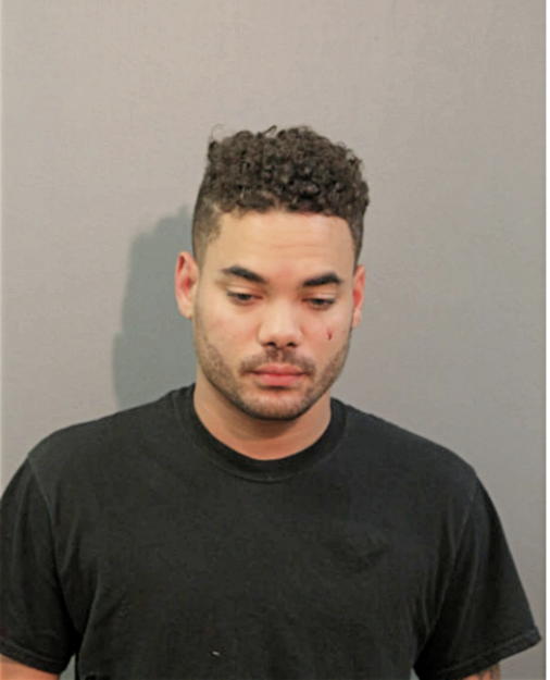 CHRISTOPHER M ATKINS, Cook County, Illinois
