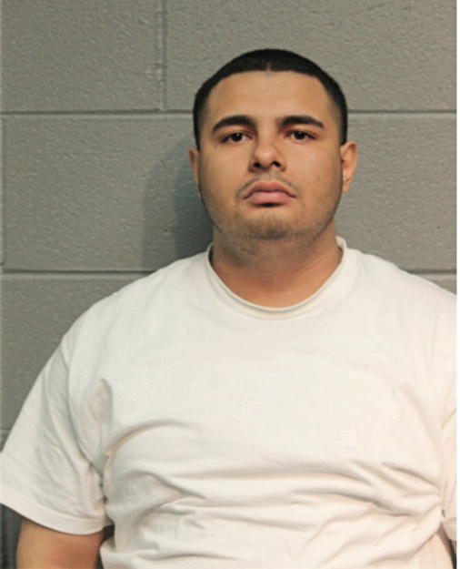 DANIEL CABRALES, Cook County, Illinois