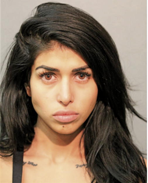 REBECA CASTILLO, Cook County, Illinois