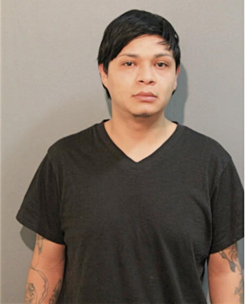 JOSE MANUEL ESTRADA, Cook County, Illinois