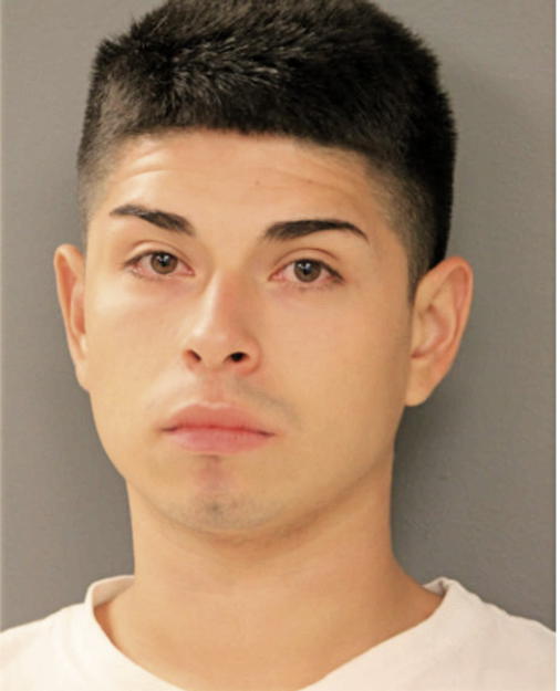 ANDY GARCIA, Cook County, Illinois