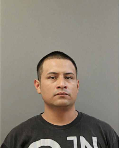 FREDY F GONZALEZ, Cook County, Illinois