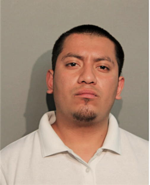 JESUS GONZALEZ, Cook County, Illinois