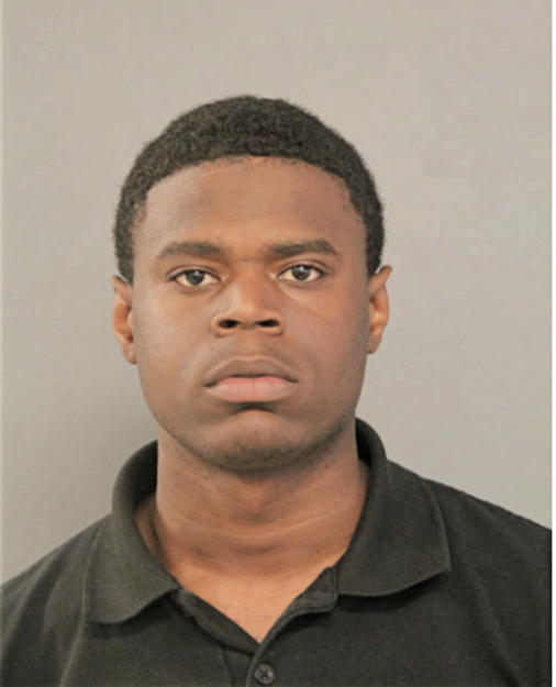 DARRYL N JOHNSON, Cook County, Illinois