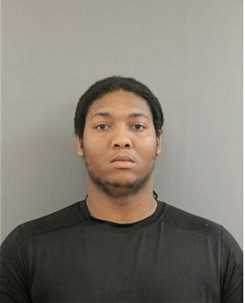 KIWAN J LEE, Cook County, Illinois