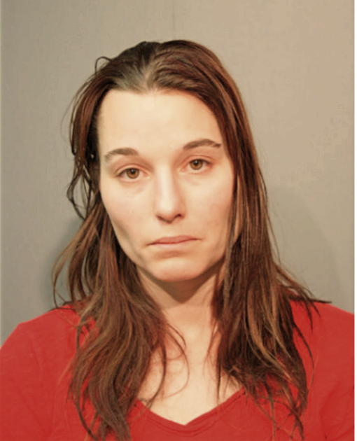 KAREN L MARSHALL, Cook County, Illinois