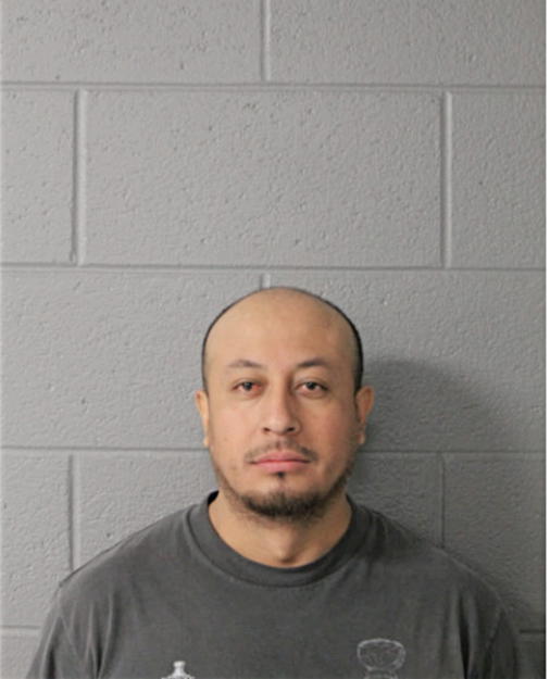 MIGUEL MINA, Cook County, Illinois