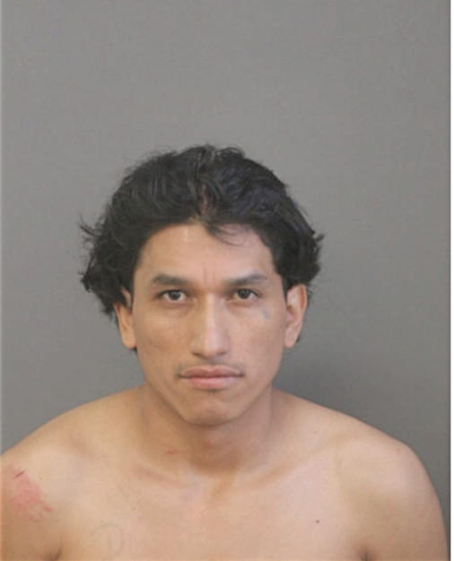 RICARDO A MIRANDA, Cook County, Illinois