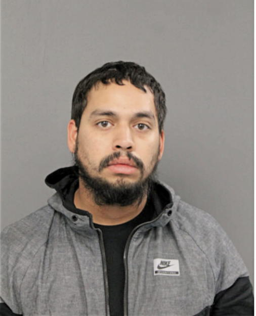 JOEL J MORALES, Cook County, Illinois