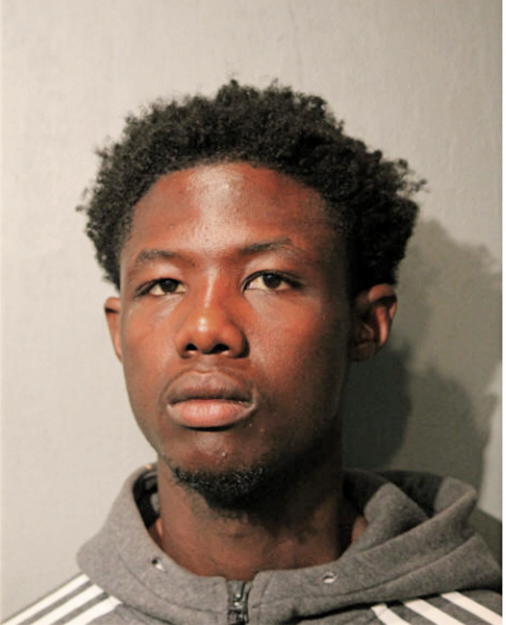 DEREK J NORMAN, Cook County, Illinois