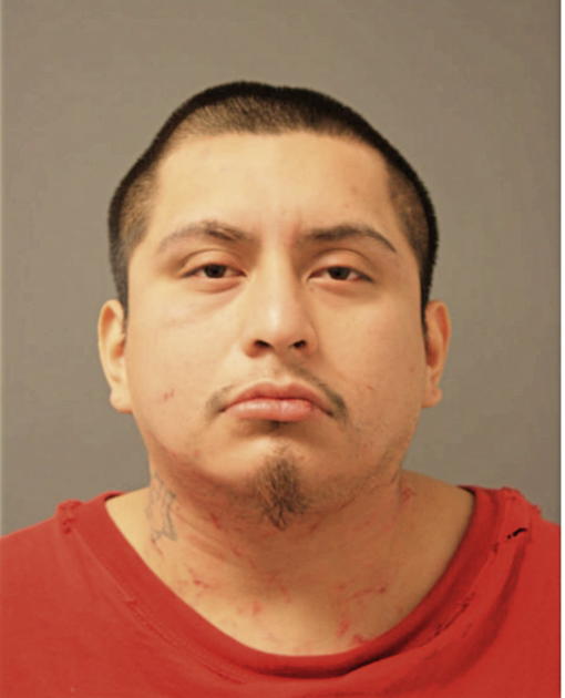 ALEJANDRO A OCAMPO, Cook County, Illinois