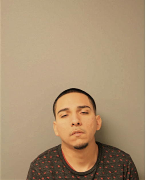 RAUL PATINO, Cook County, Illinois